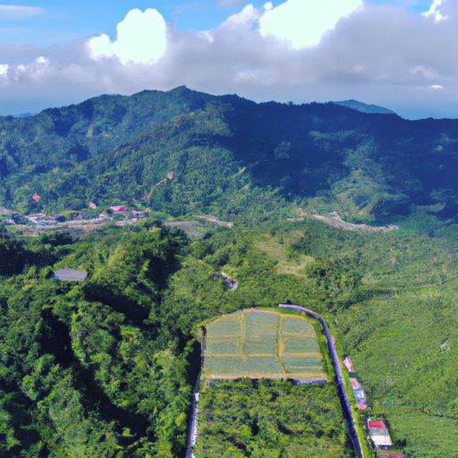 龙山网络推广(图2)