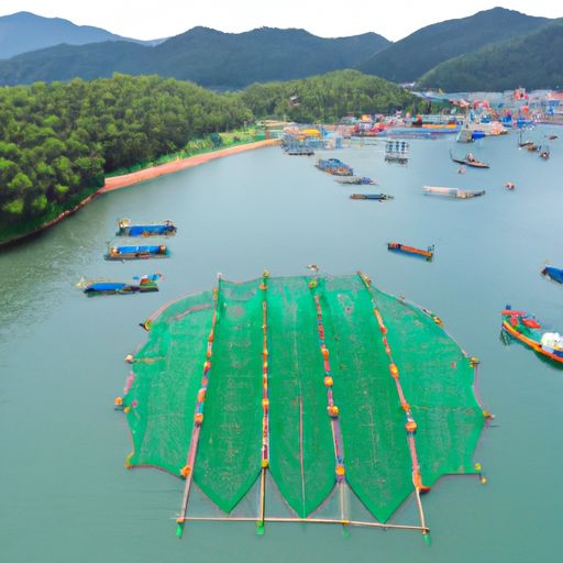 龙湾网络推广(图2)