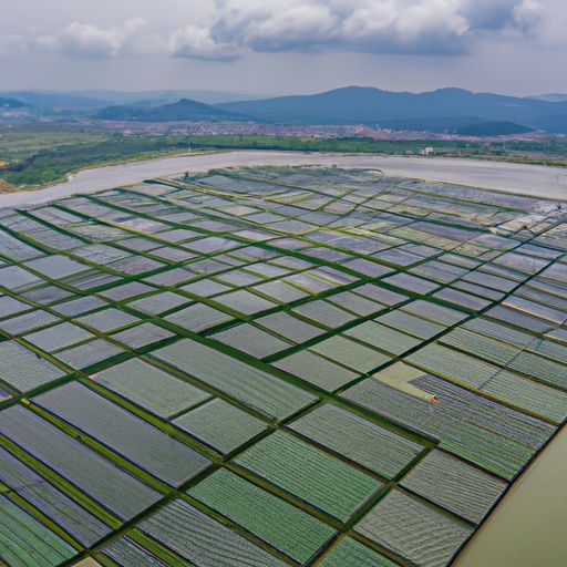 汾阳网络推广(图2)