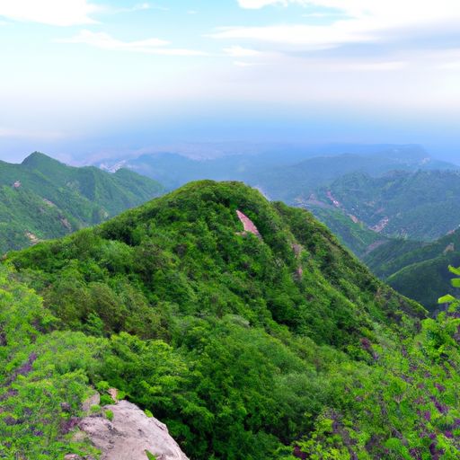 蒙山网络推广(图2)