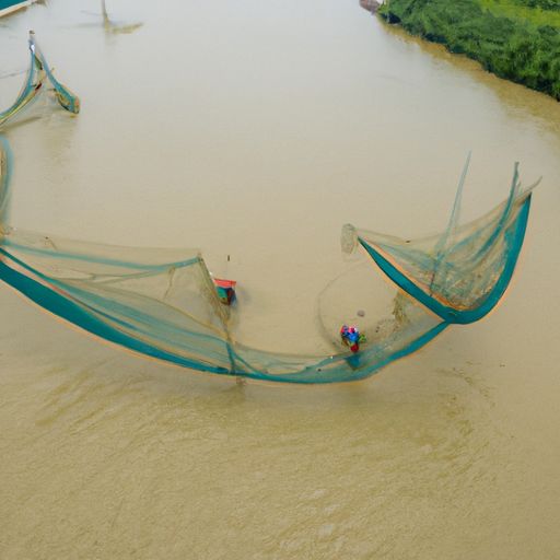 庄河网络推广(图2)