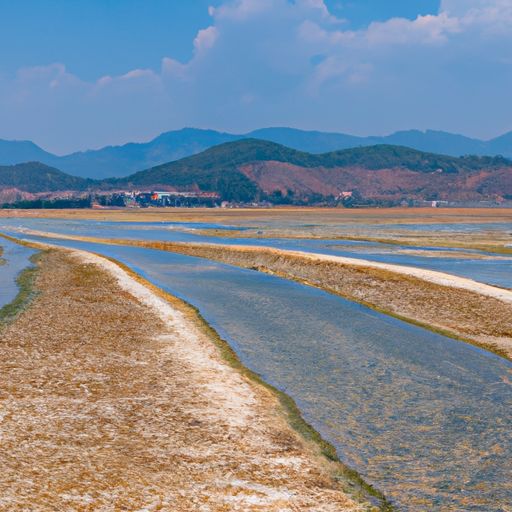 八宿网络推广渠道 八宿网络推广渠道(图2)