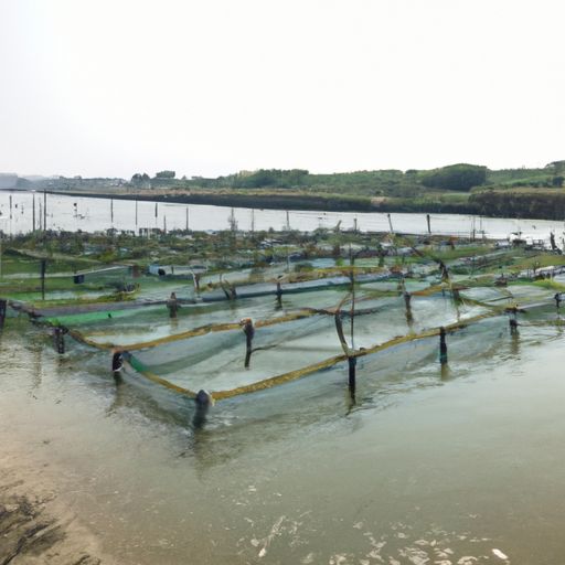 冷水江网络推广 冷水江网络推广(图2)