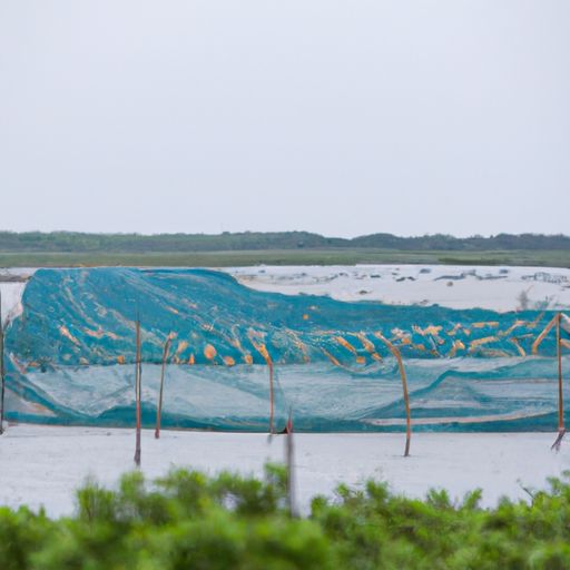 大洼网络推广 大洼网络推广(图2)