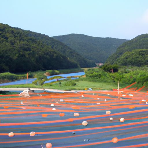 大田网络推广(图2)