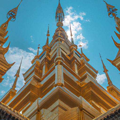 西双版纳品牌推广方案 西双版纳品牌推广方案(图2)