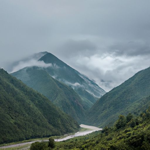 墨脱品牌推广渠道(图2)