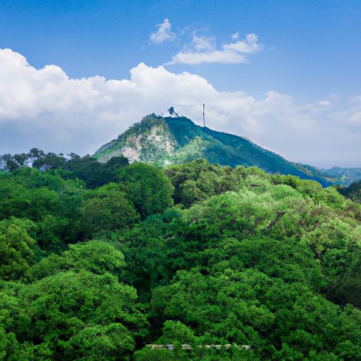 泉山网络推广哪个平台好(图2)