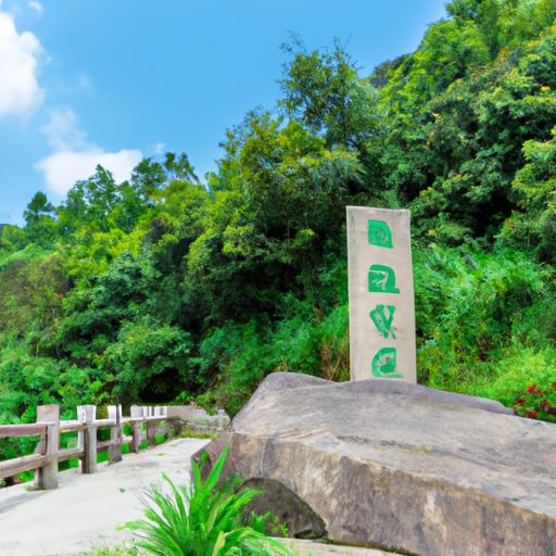 龙泉驿品牌推广渠道(图2)