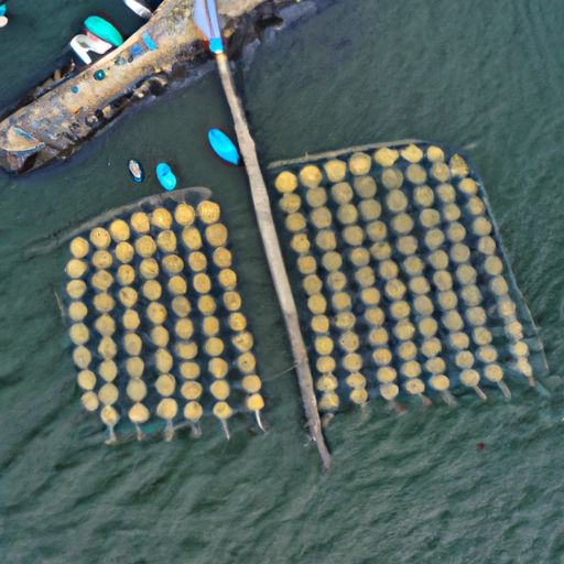 镜湖网络推广哪个平台好 镜湖网络推广哪个平台好(图2)