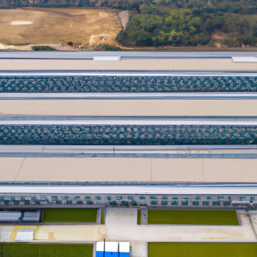 东营网络推广代运营(图2)