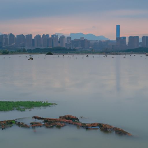 南湖网络推广哪个平台好(图2)
