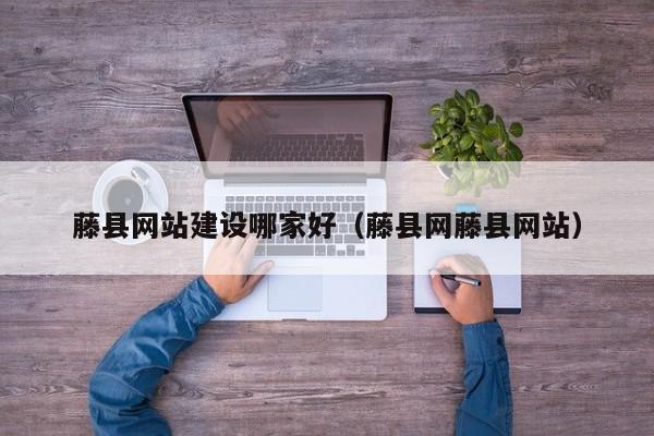 藤县网站建设哪家好（藤县网藤县网站）(图2)