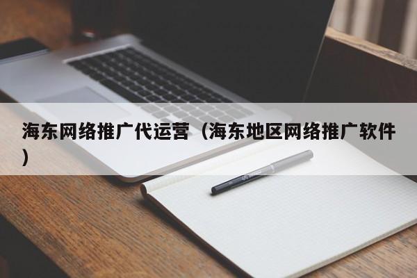 海东网络推广代运营（海东地区网络推广软件）(图2)