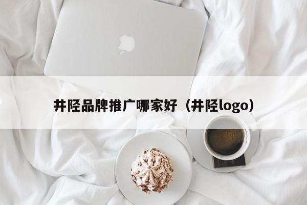 井陉品牌推广哪家好（井陉logo）(图2)