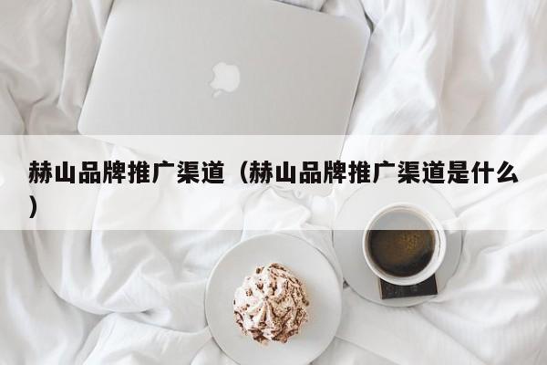 赫山品牌推广渠道（赫山品牌推广渠道是什么）(图2)
