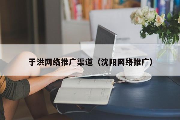 于洪网络推广渠道（沈阳网络推广）(图2)