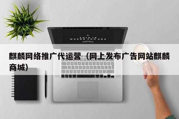 麒麟网络推广代运营（网上发布广告网站麒麟商城）(图2)