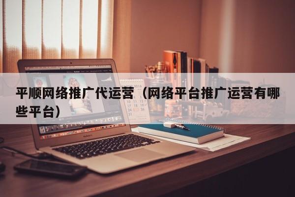 平顺网络推广代运营（网络平台推广运营有哪些平台）(图2)