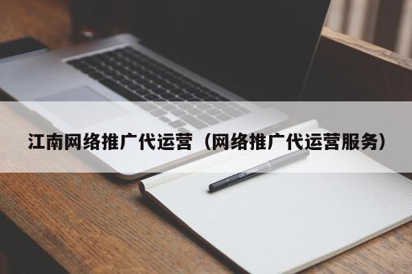 江南网络推广代运营（网络推广代运营服务）(图2)