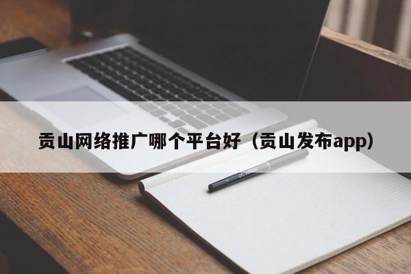 贡山网络推广哪个平台好（贡山发布app）(图2)