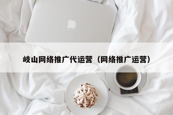 岐山网络推广代运营（网络推广运营）(图2)