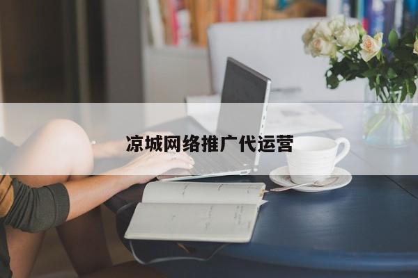 凉城网络推广代运营(图2)