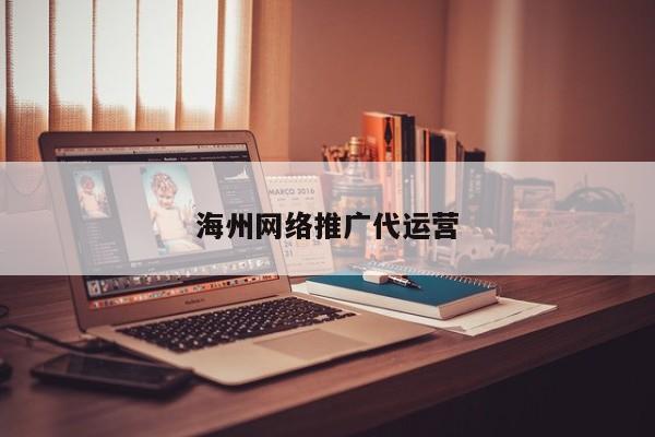 海州网络推广代运营(图2)