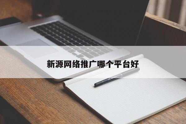 新源网络推广哪个平台好(图2)