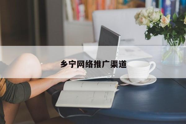 乡宁网络推广渠道(图2)