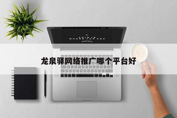 龙泉驿网络推广哪个平台好(图2)
