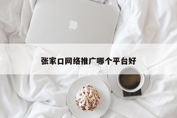 张家口网络推广哪个平台好(图2)