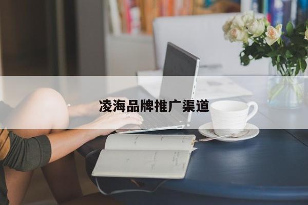 凌海品牌推广渠道(图2)