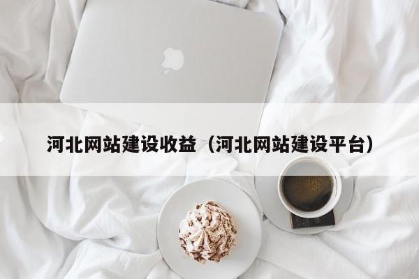 河北网站建设收益（河北网站建设平台）(图2)