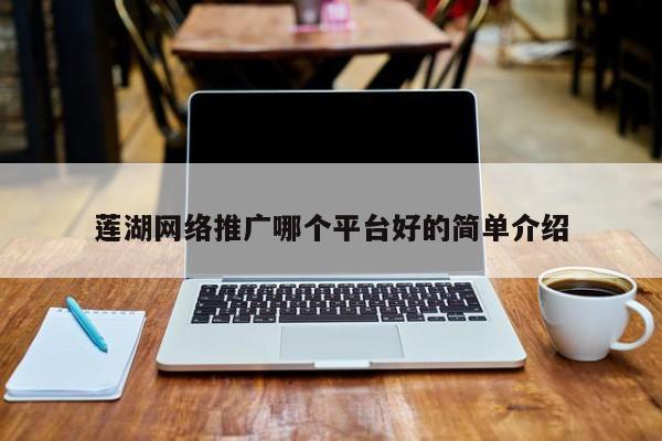 莲湖网络推广哪个平台好的简单介绍(图2)