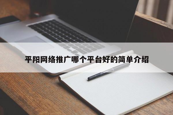 平阳网络推广哪个平台好的简单介绍(图2)