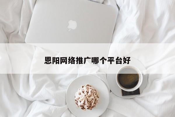 恩阳网络推广哪个平台好(图2)