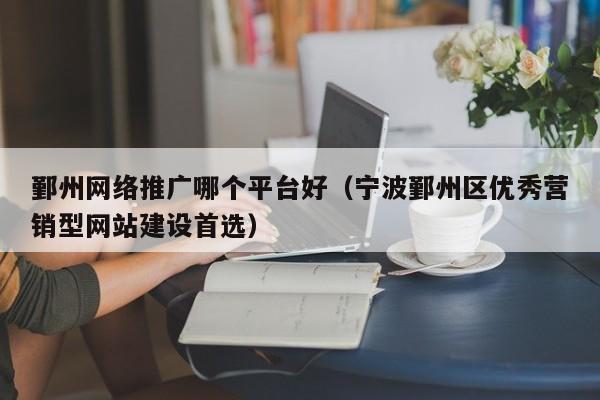 鄞州网络推广哪个平台好（宁波鄞州区优秀营销型网站建设首选）(图2)