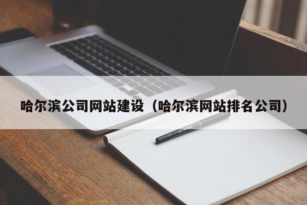 哈尔滨公司网站建设（哈尔滨网站排名公司）(图2)