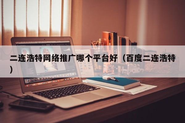 二连浩特网络推广哪个平台好（百度二连浩特）(图2)