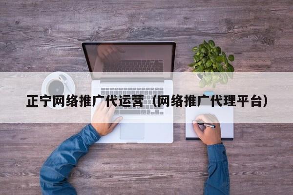 正宁网络推广代运营（网络推广代理平台）(图2)