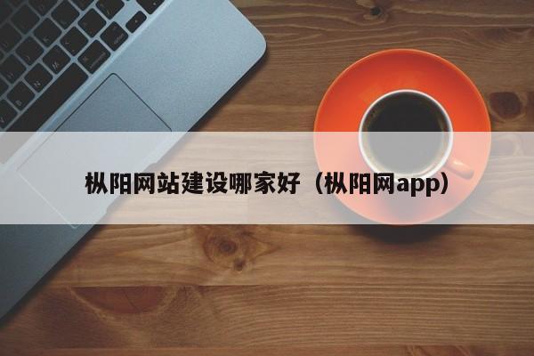 枞阳网站建设哪家好（枞阳网app）(图2)