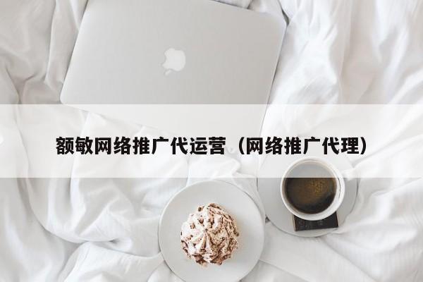 额敏网络推广代运营（网络推广代理）(图2)