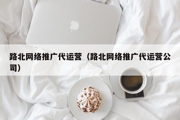 路北网络推广代运营（路北网络推广代运营公司）(图2)