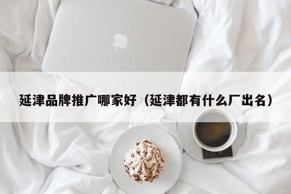 延津品牌推广哪家好（延津都有什么厂出名）(图2)