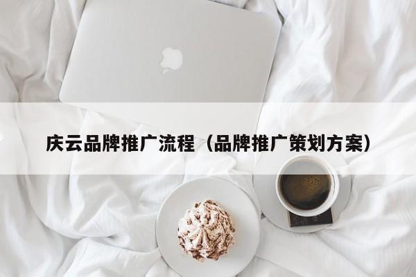 庆云品牌推广流程（品牌推广策划方案）(图2)