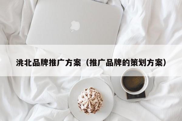 洮北品牌推广方案（推广品牌的策划方案）(图2)