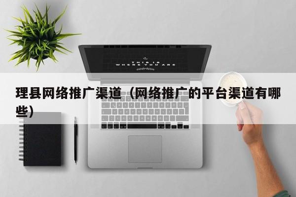 理县网络推广渠道（网络推广的平台渠道有哪些）(图2)