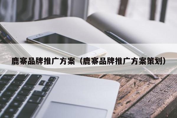 鹿寨品牌推广方案（鹿寨品牌推广方案策划）(图2)