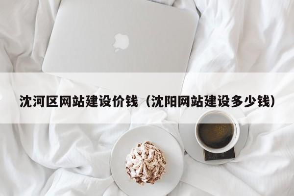 沈河区网站建设价钱（沈阳网站建设多少钱）(图2)